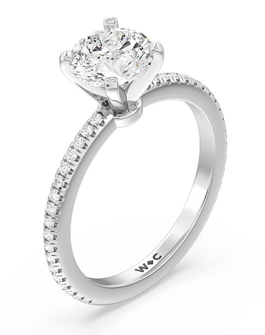 With Clarity Elegant Princess, Cushion, Emerald, Radiant, Round, Oval Cut Engagement Ring - 2