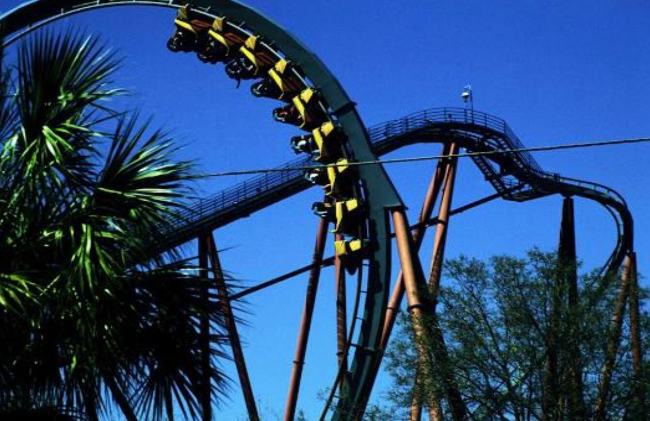 Picture of Busch Gardens Tampa Bay