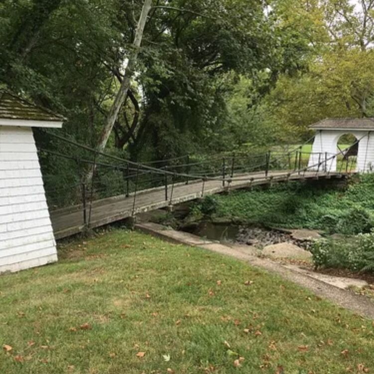 Picture of Shaky Bridge