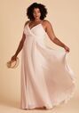 Birdy Grey Kaia Curve Dress in Pale Blush V-Neck Bridesmaid Dress - thumbnail - 4