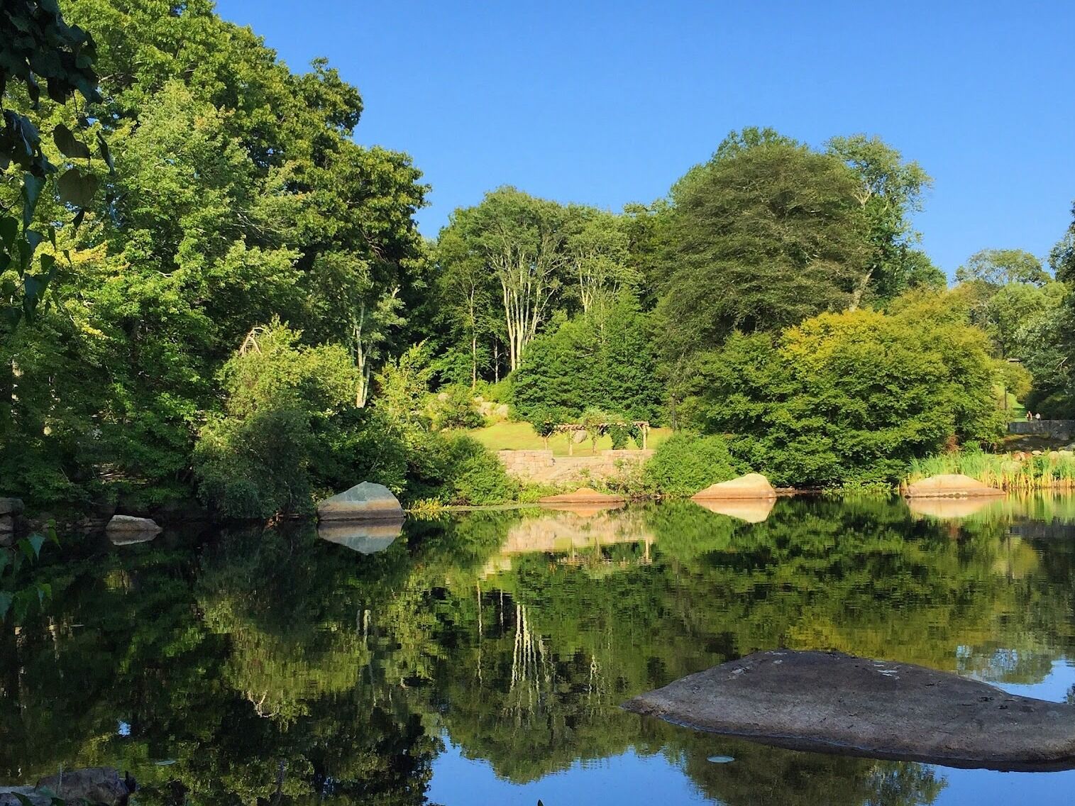 Picture of Connecticut College Arboretum