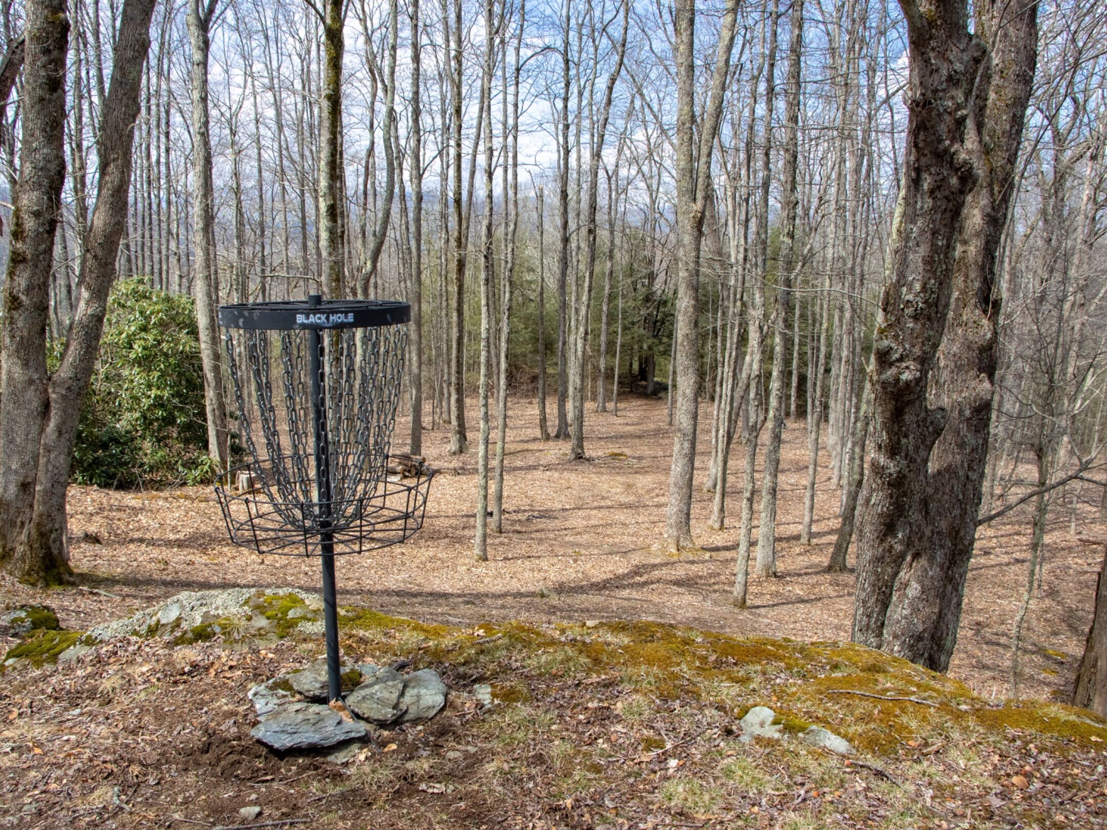Picture of Ashe County Park Disc Golf Course
