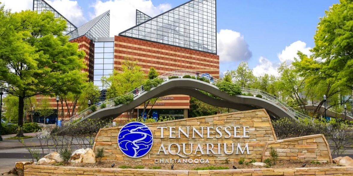 Picture of Tennesee Aquarium