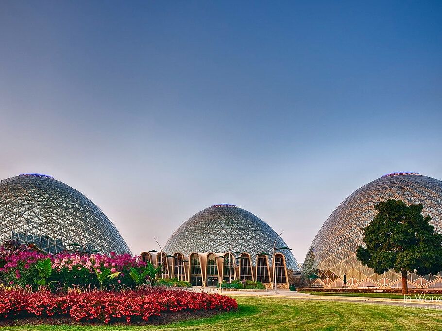 Picture of Mitchell Park Horticulture Conservatory