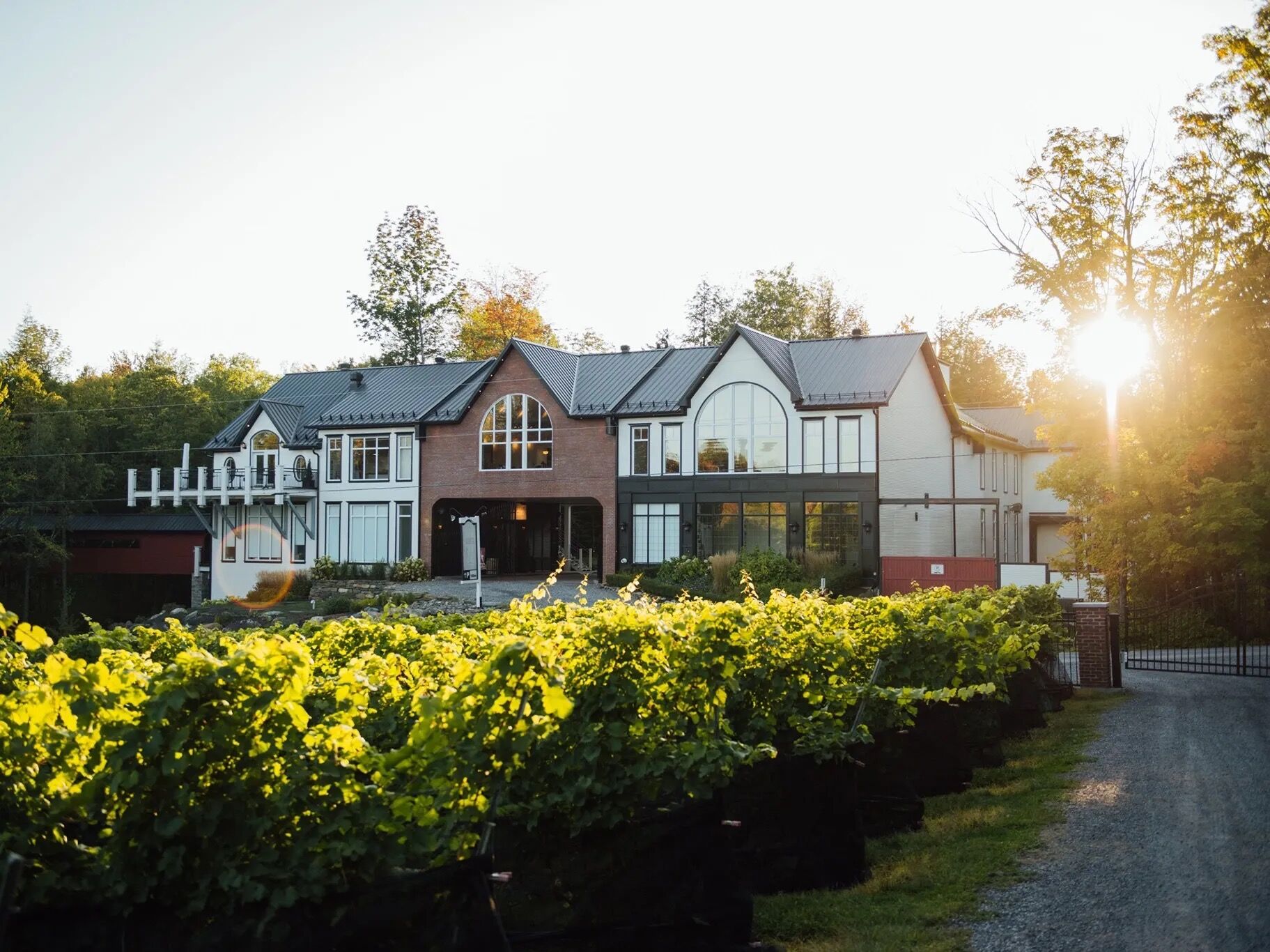Picture of Le Vignoble du Ruisseau - Winery & Cidery