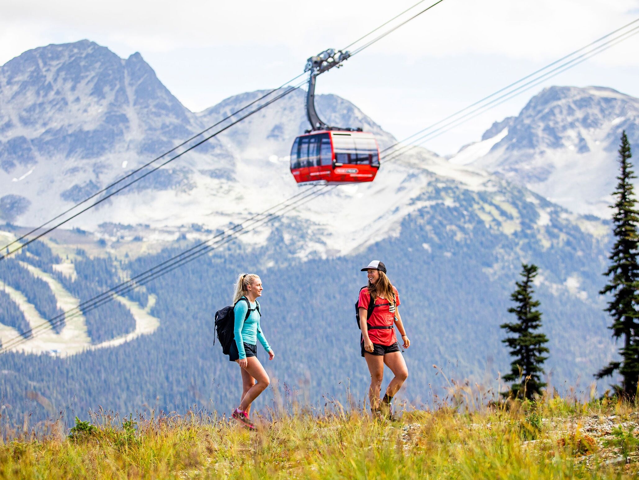 Picture of Whistler Blackcomb - Peak to Peak Gondola