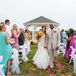 Neutral Groom's Suit With Circus Rose Boutonniere