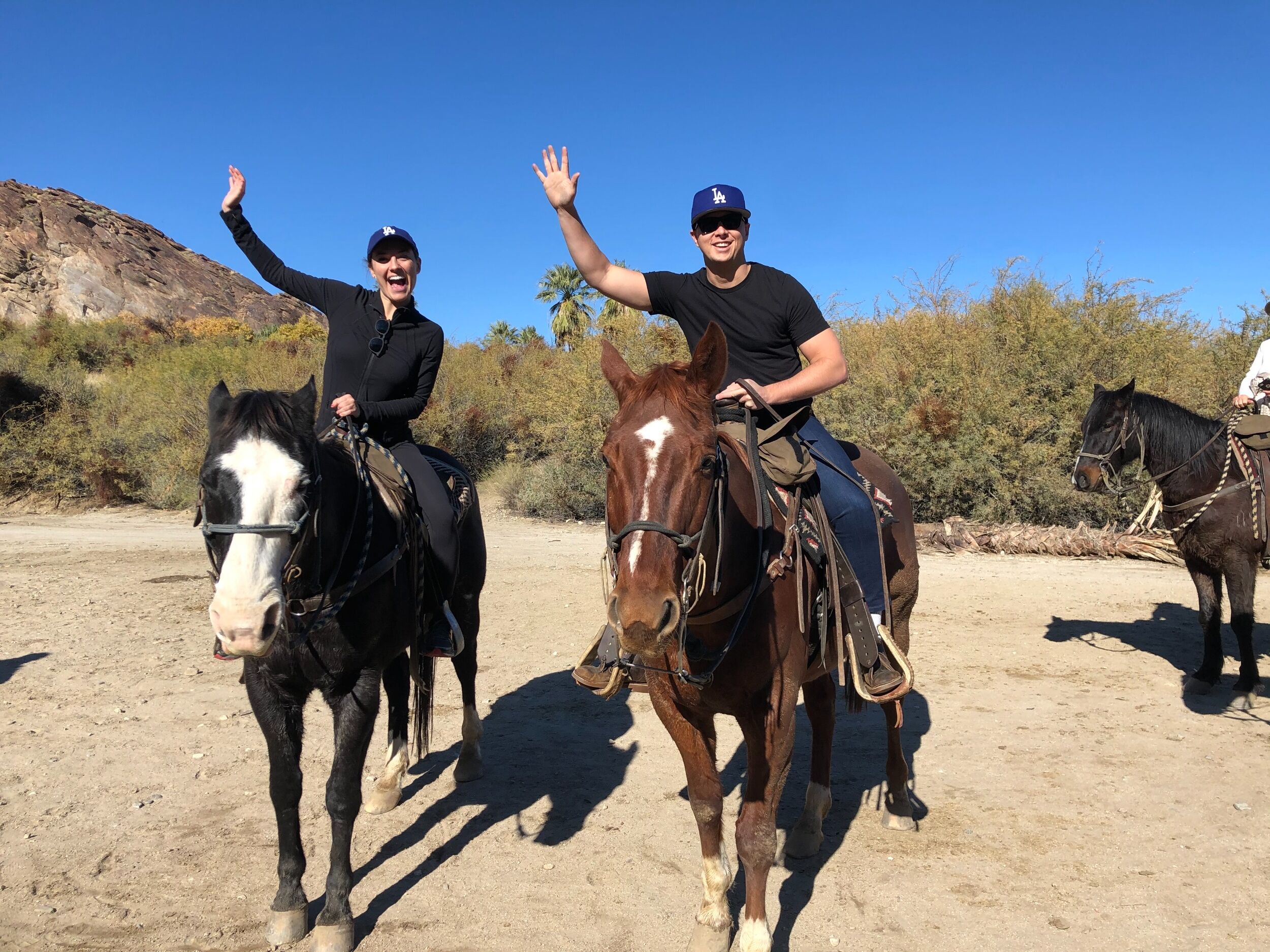 Picture of Smoke Tree Stables