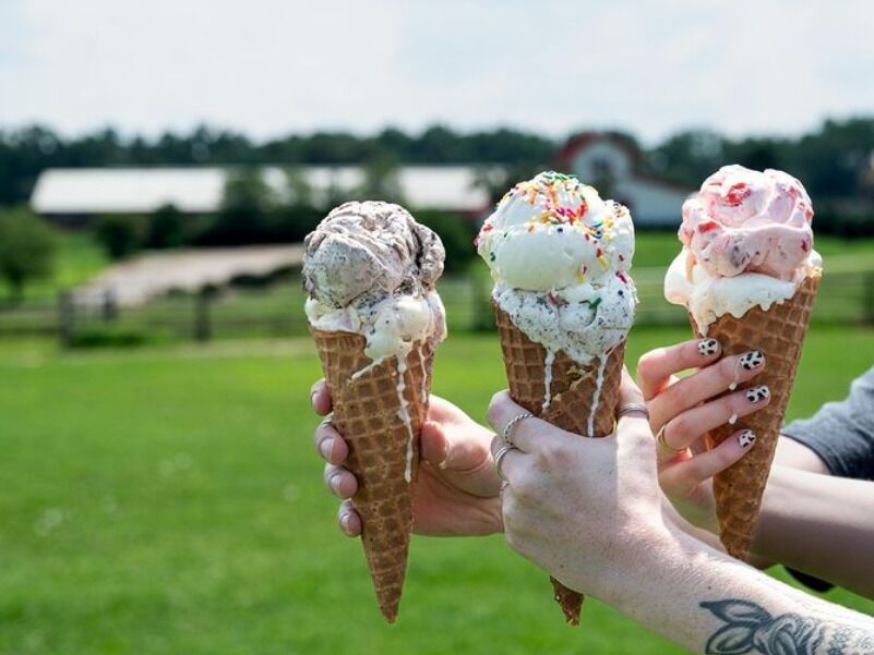 Picture of Howling Cow Dairy Education Center and Creamery