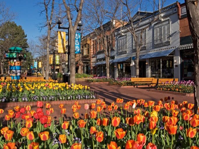 Picture of Pearl Street Mall