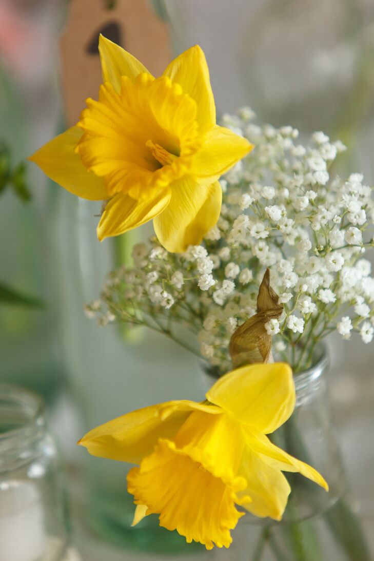 Yellow daffodils were mixed with baby's breath and arranged inside a glass bottle to serve as a centerpiece.