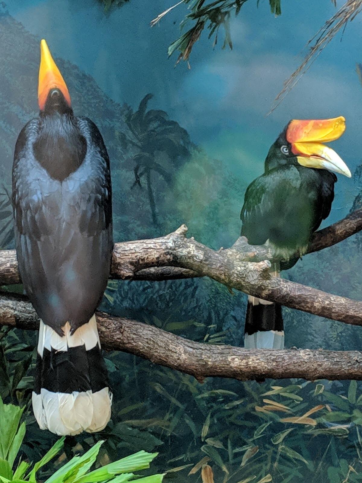 Picture of Denver Zoo