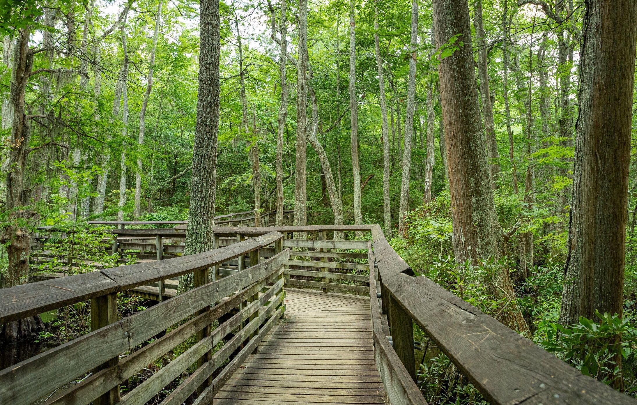 Picture of First Landing State Park