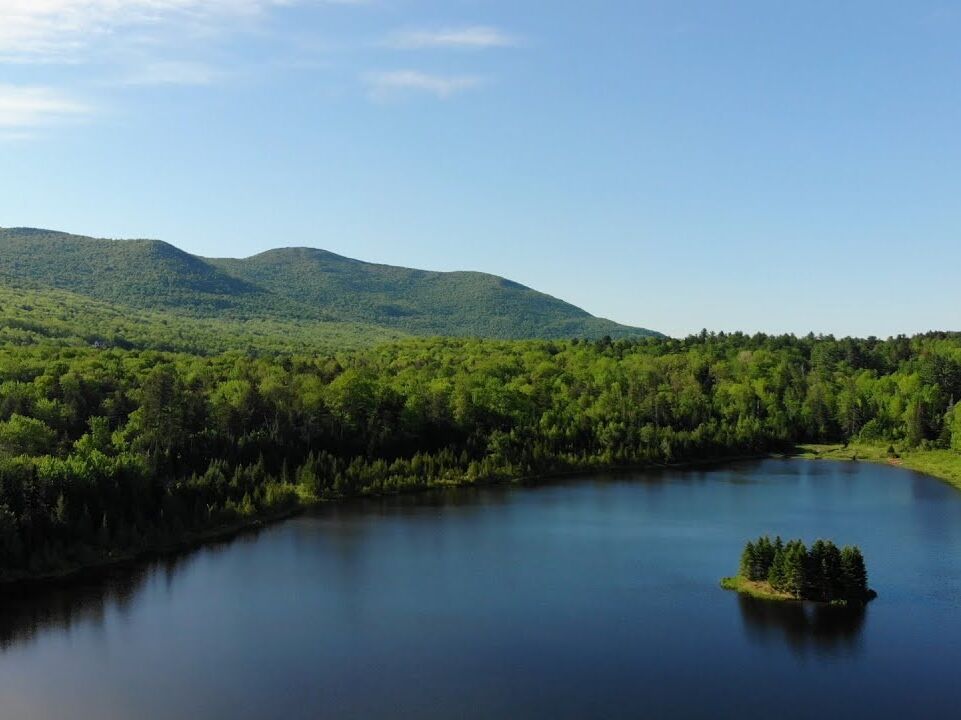 Picture of Blueberry Lake