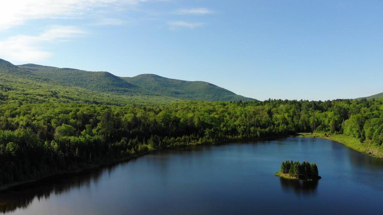 Picture of Blueberry Lake
