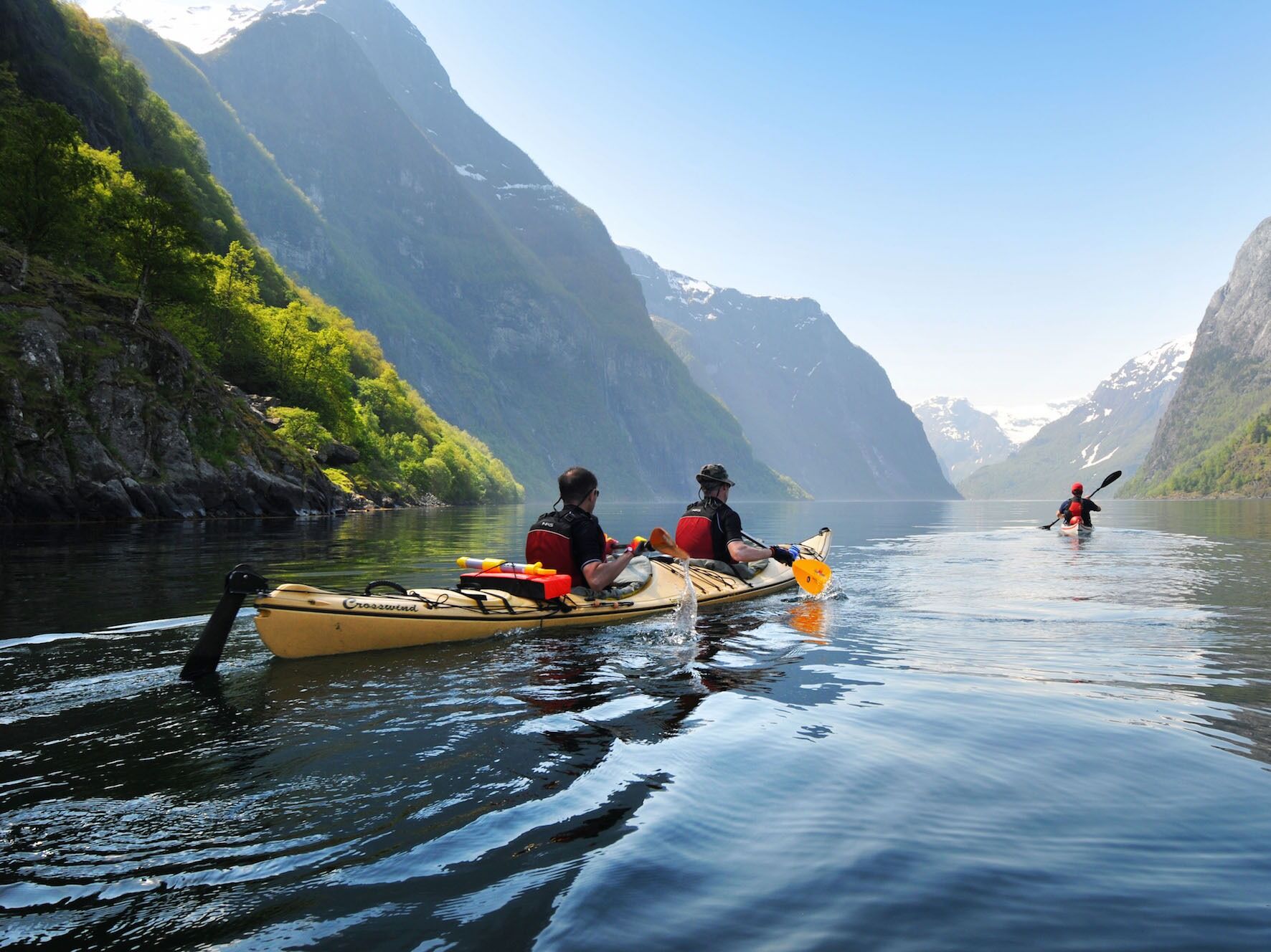 Picture of Kayaking with Dolphins + Snorkelling