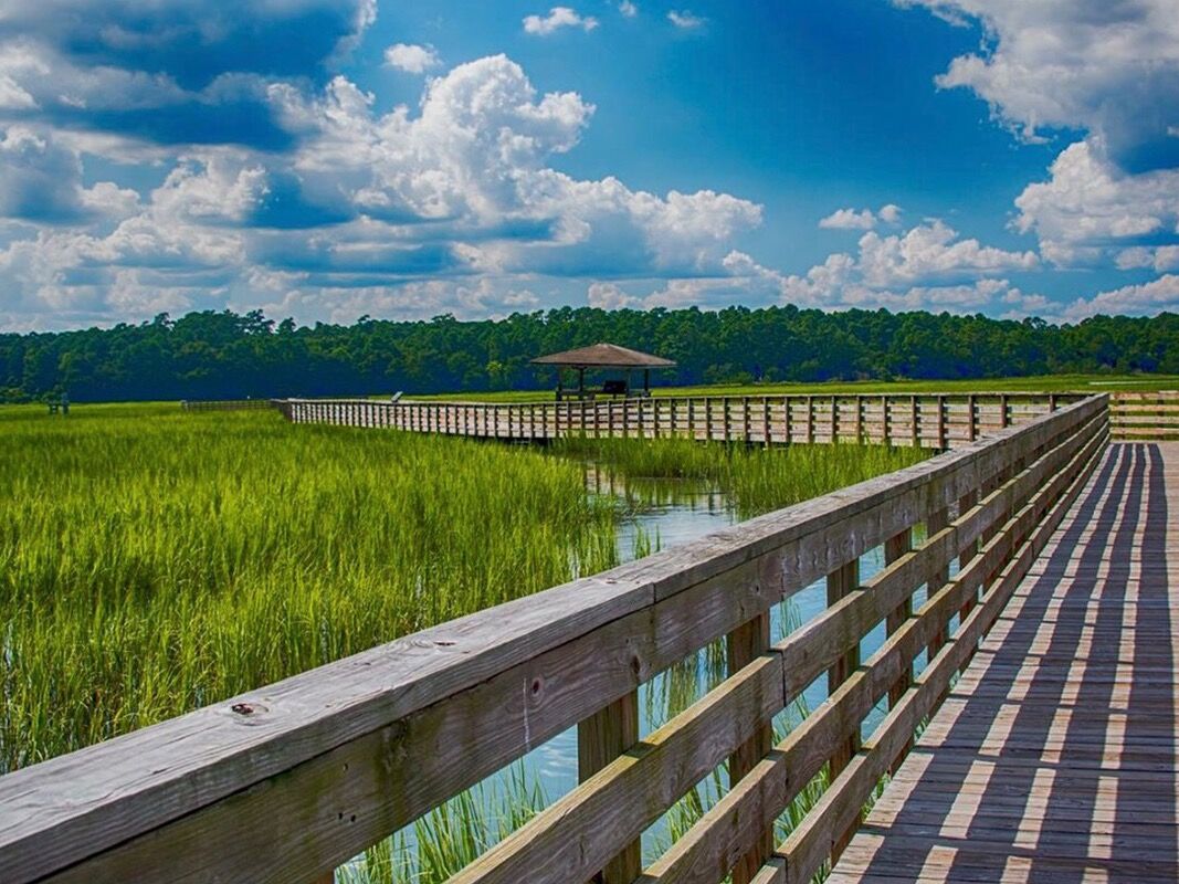 Picture of Huntington Beach State Park