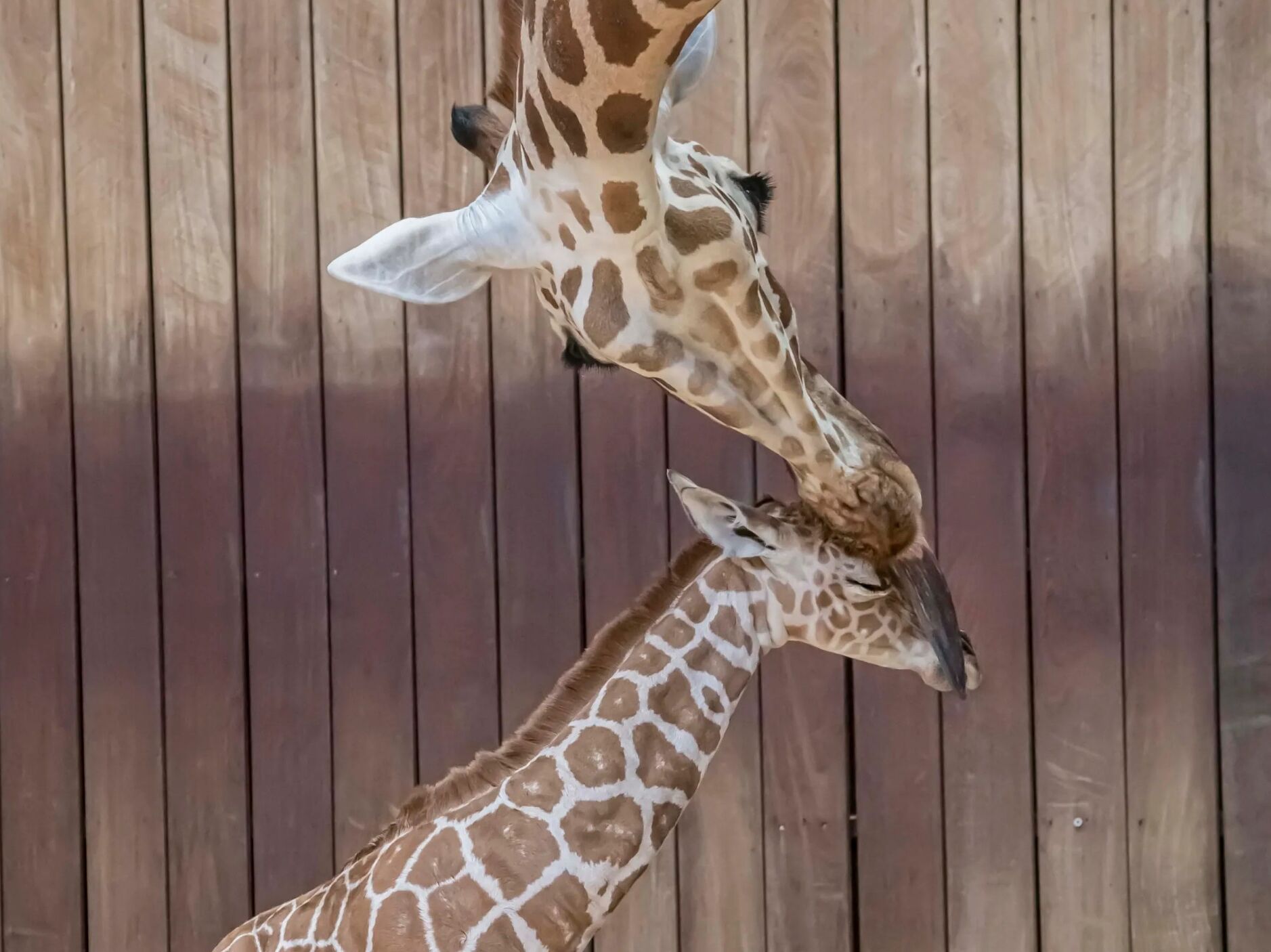 Picture of Milwaukee County Zoo