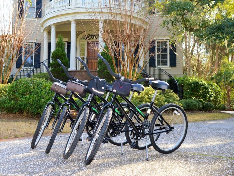 Picture of Alligator Bike Shop