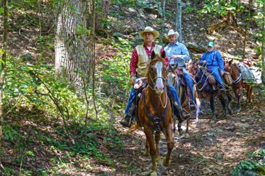 Picture of Alabama Horseback Adventures