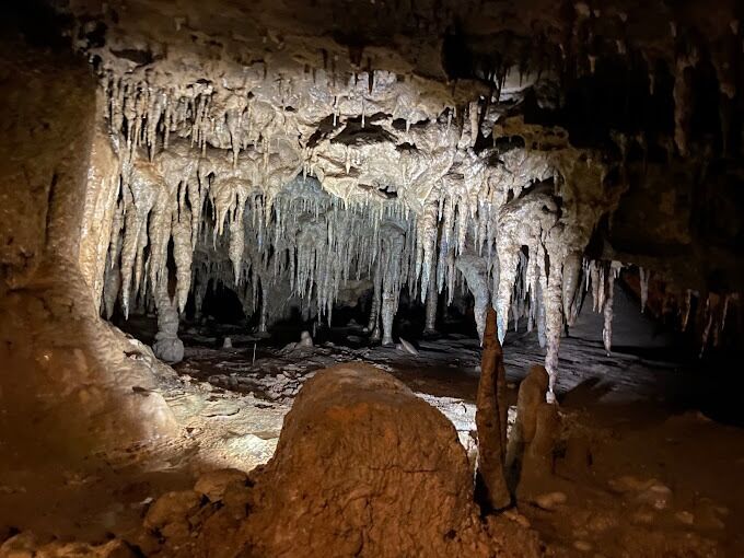 Picture of Florida Caverns State Park