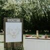 Eclectic Delaware Beach Wedding with Canine Flair