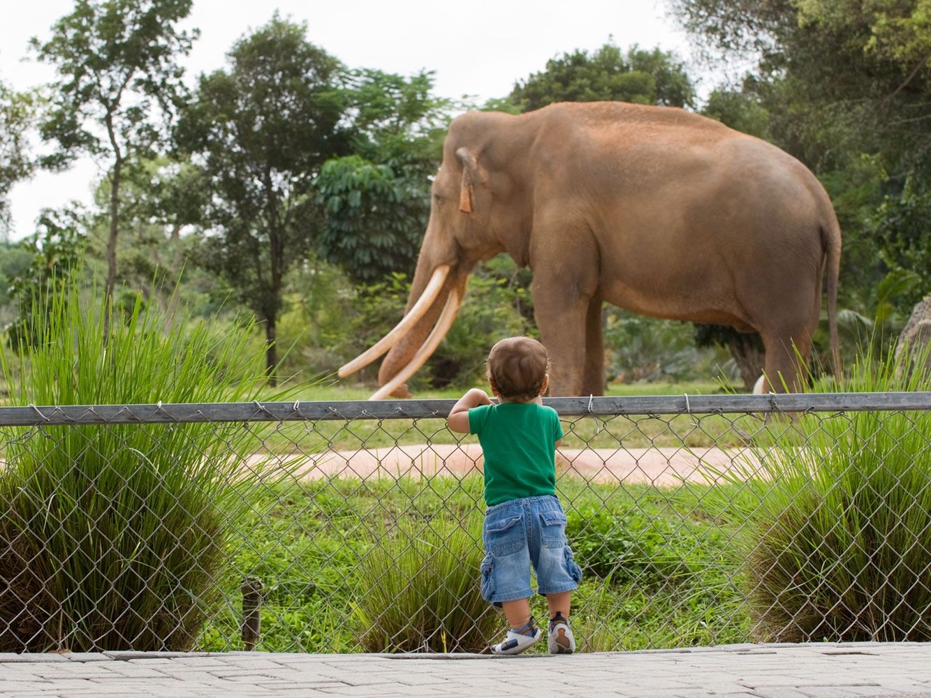 Picture of Smithsonian National Zoological Park