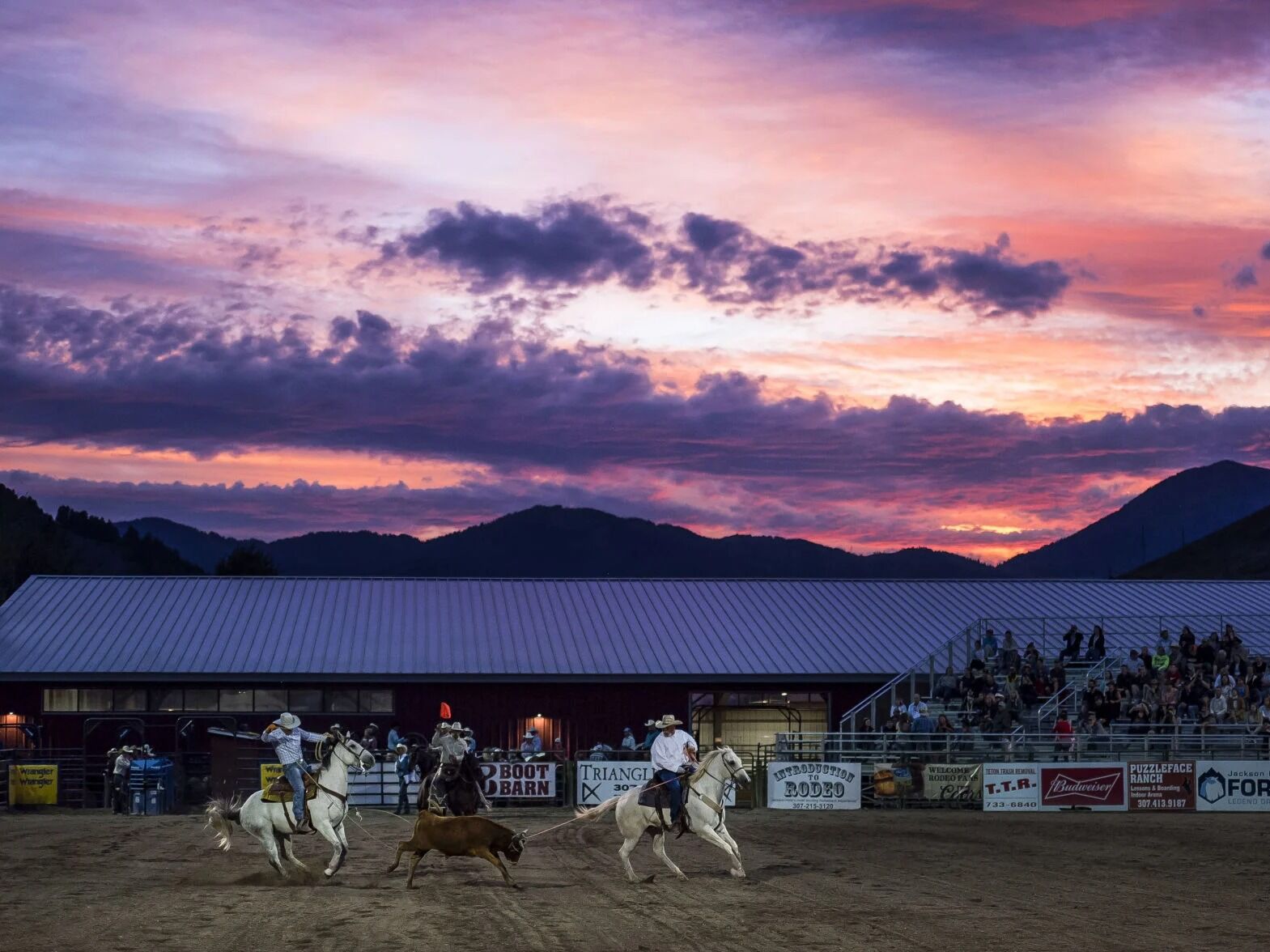 Picture of Jackson Hole Rodeo