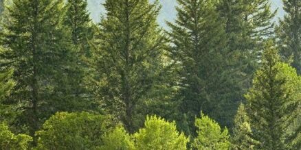 Isaak & Samantha Home Page Banner