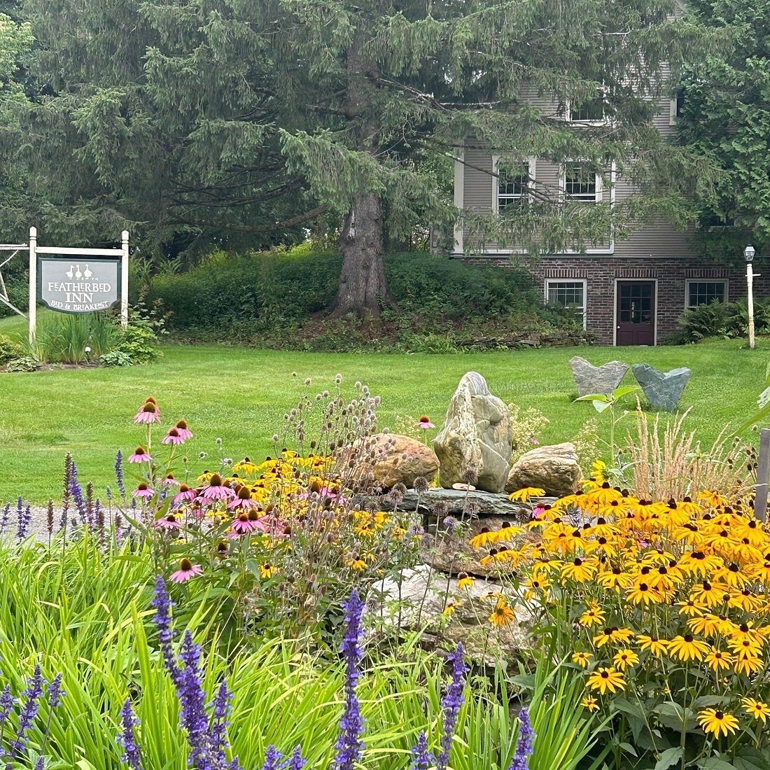 Picture of The Featherbed Inn