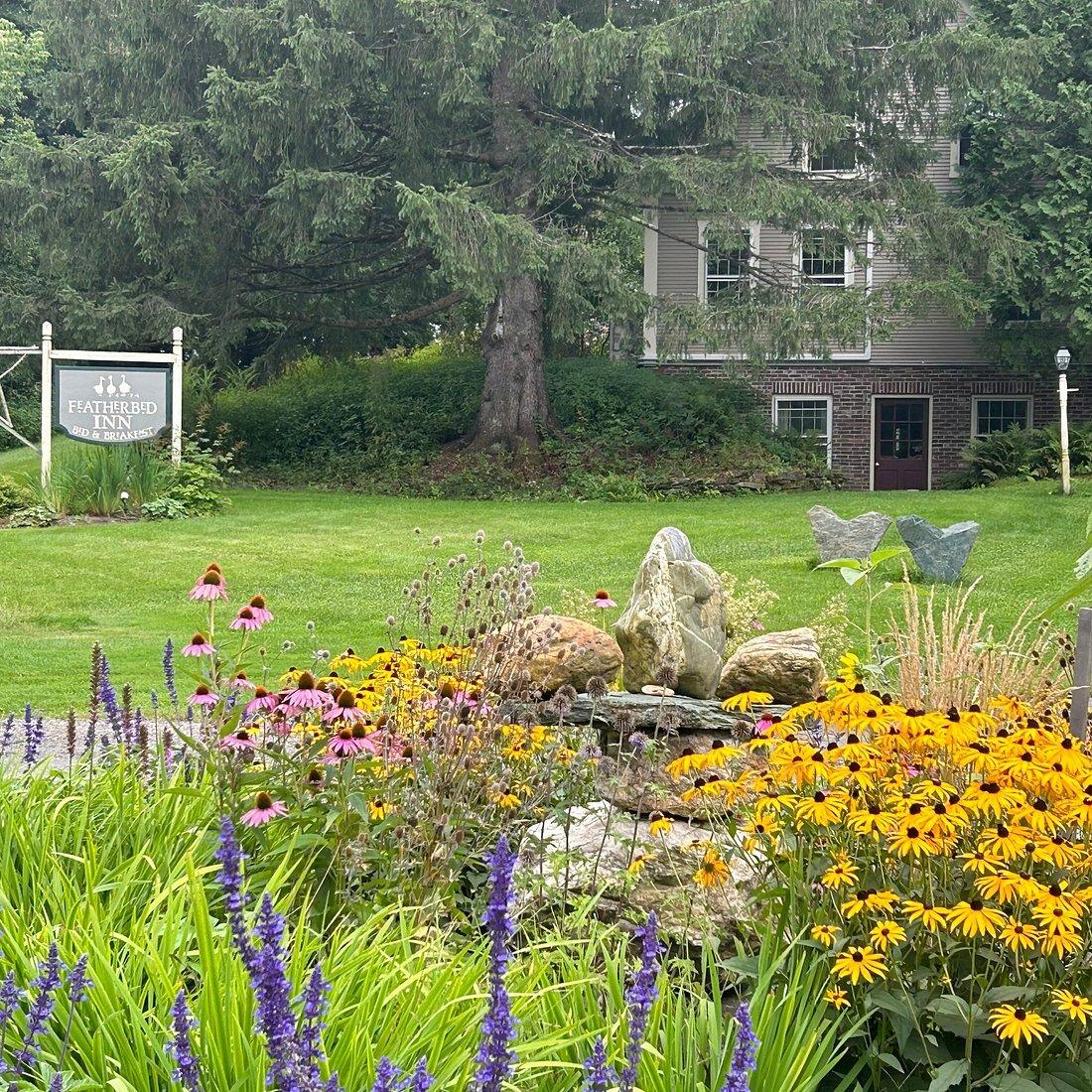 Picture of The Featherbed Inn