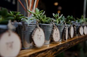 Mini Potted Succulent and Wood Tag Favors