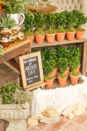 Potting Tree Favors for Arbor Day