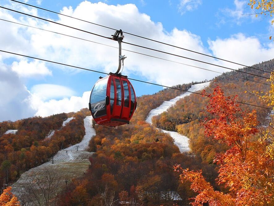 Picture of Gondola Skyride