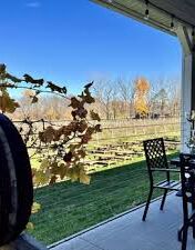 Picture of Niagara Wine Trail