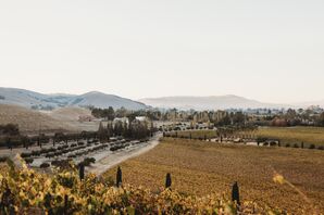 Viansa Winery in Sonona, California, Northern California Wine Country