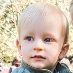 Max Bayles