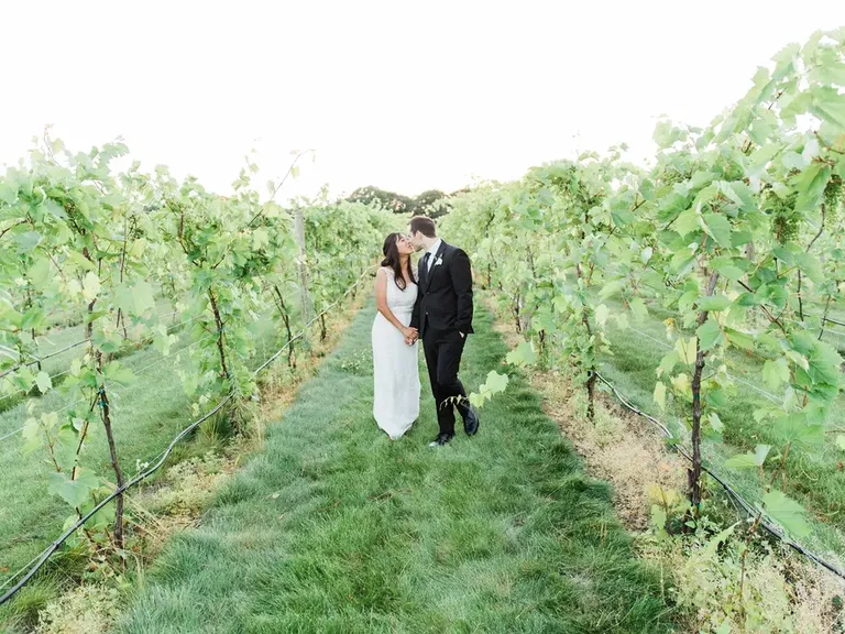 7 Vines Vineyard