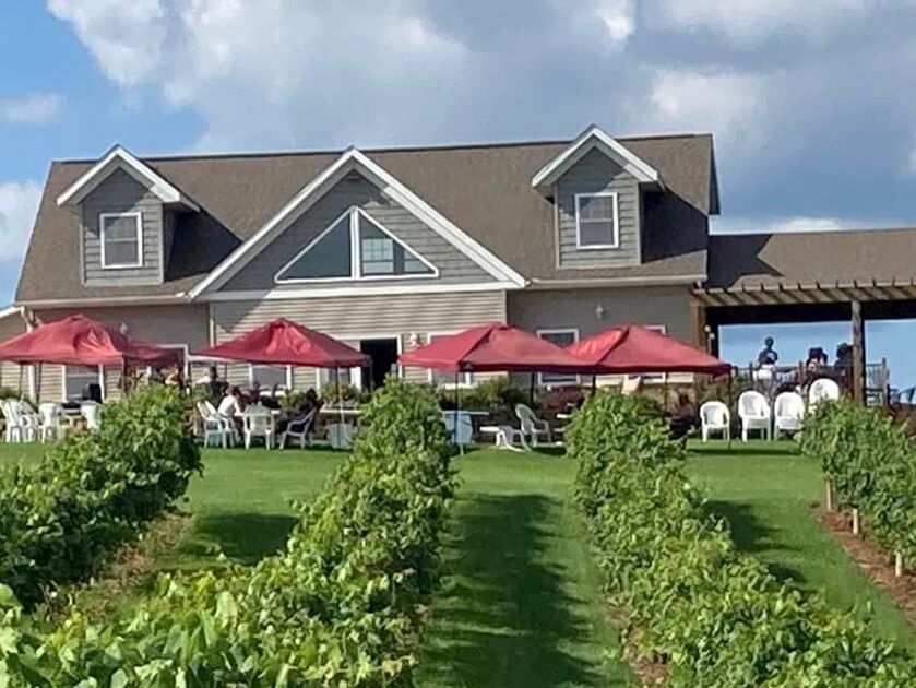 Picture of Vernon Vineyards