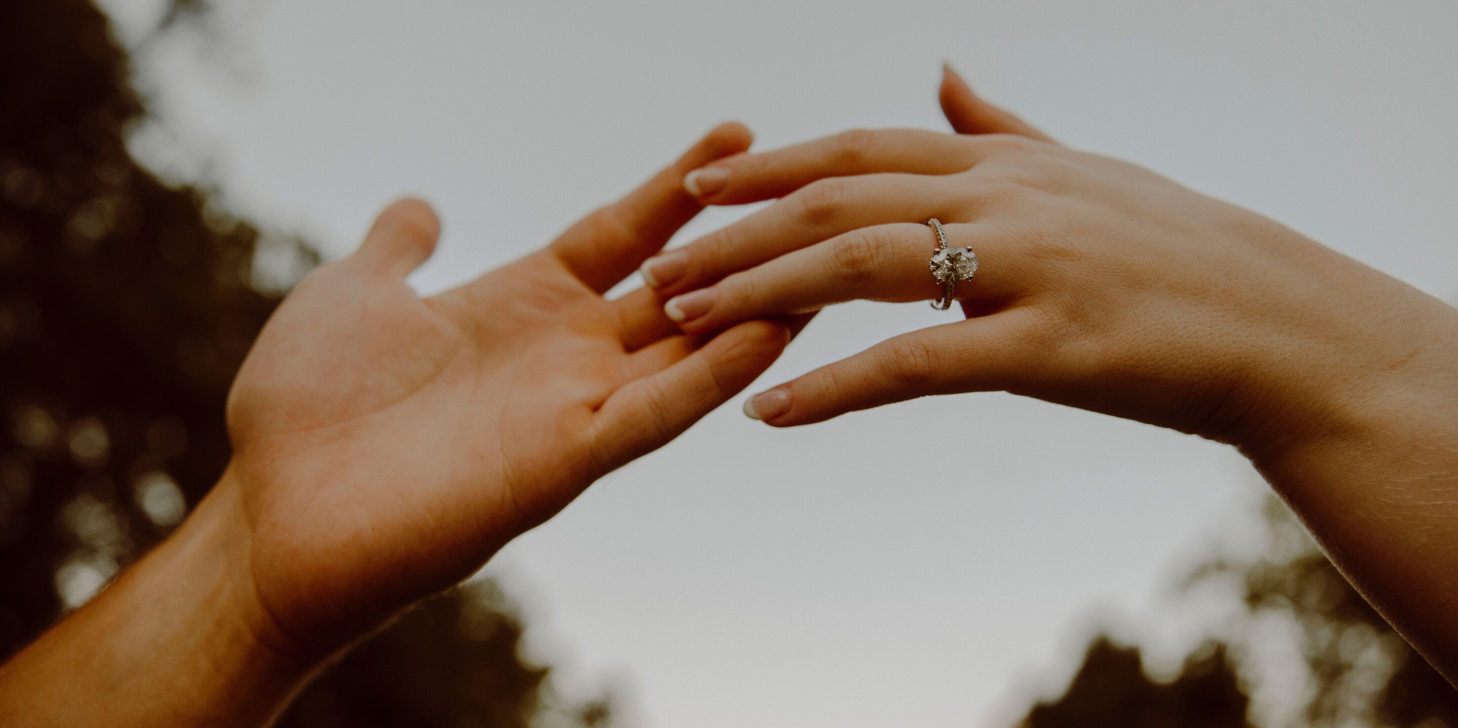 Brady & Brenna Home Page Banner