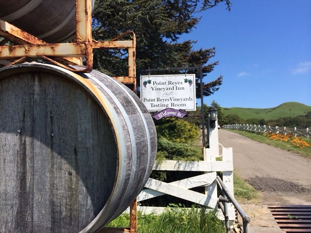 Picture of Point Reyes Vineyards and Inn - SOLD OUT