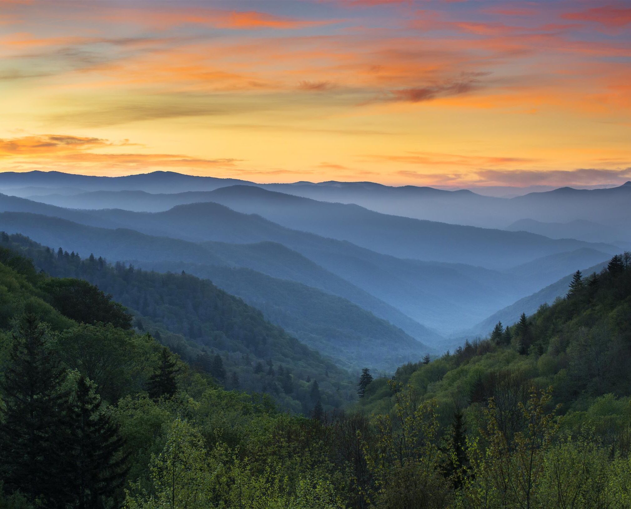 Picture of Blueridge Parkway