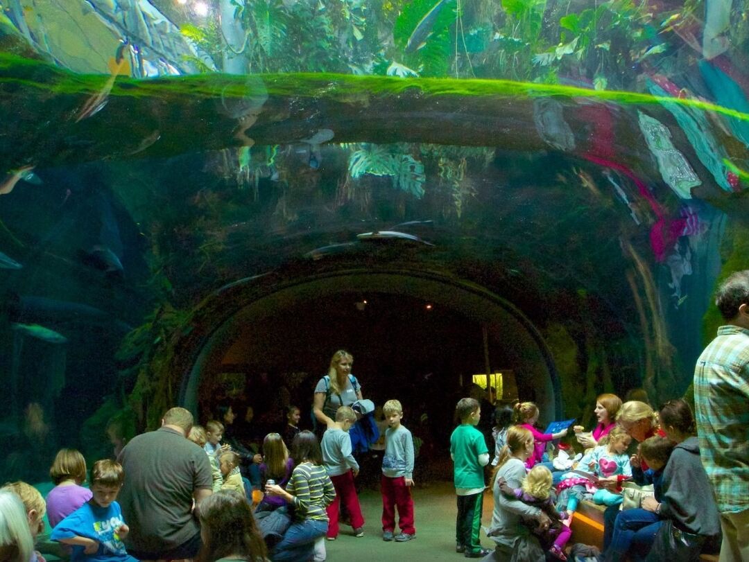 Picture of California Academy of Sciences