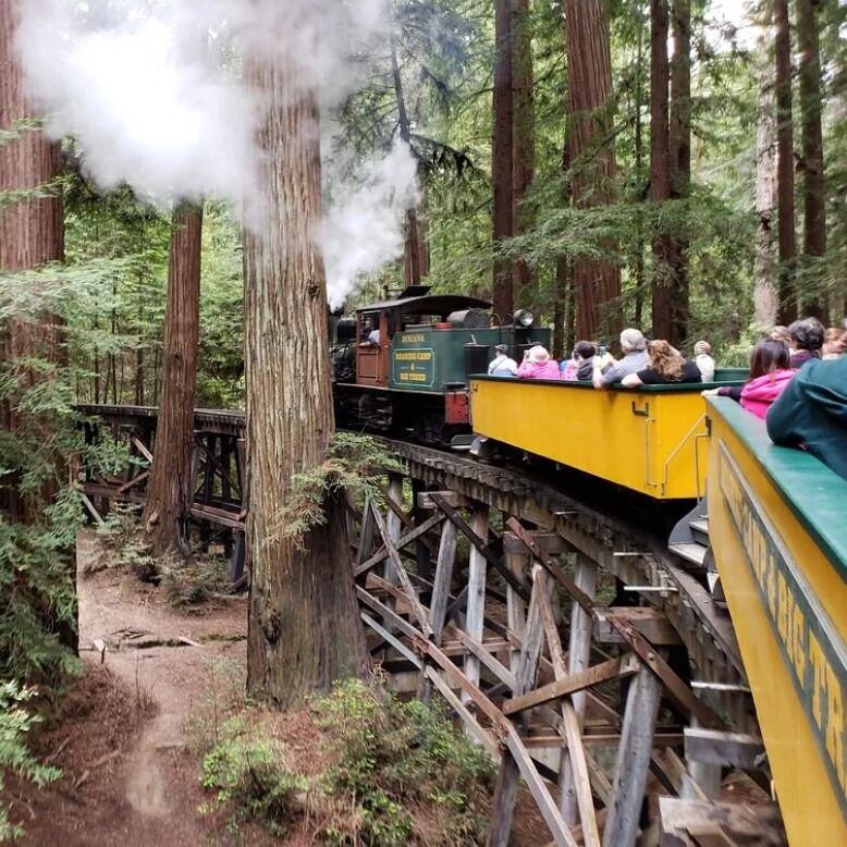 Picture of Roaring Camp