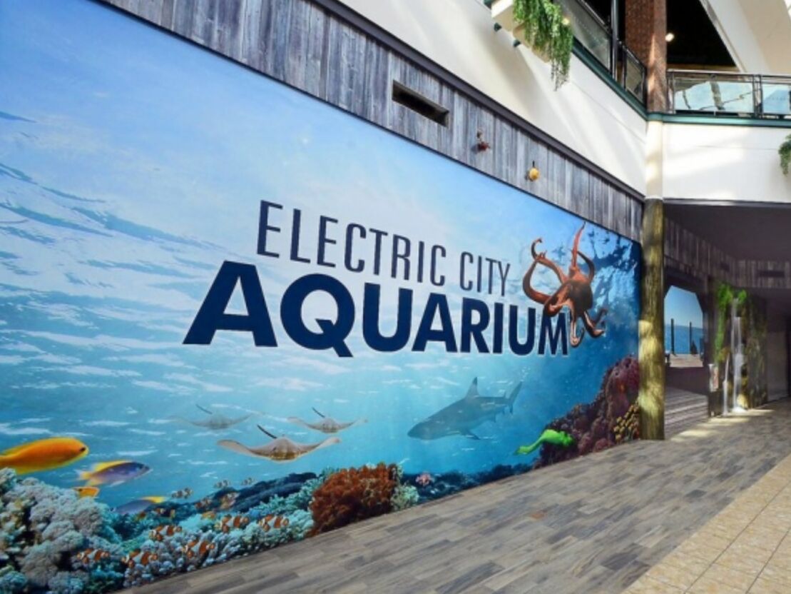 Picture of Electric City Aquarium & Reptile Den
