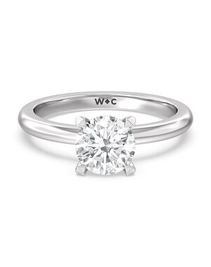 With Clarity Elegant Princess, Cushion, Emerald, Pear, Radiant, Round, Oval Cut Engagement Ring
