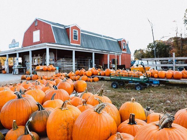 Picture of Whittier Farms
