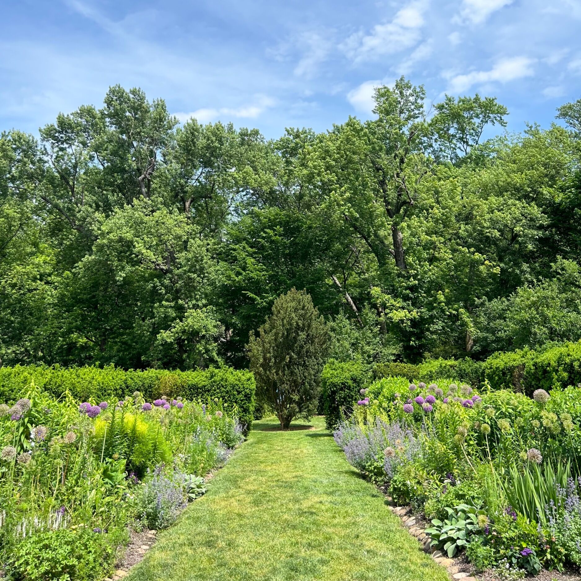 Picture of Dumbarton Oaks Gardens