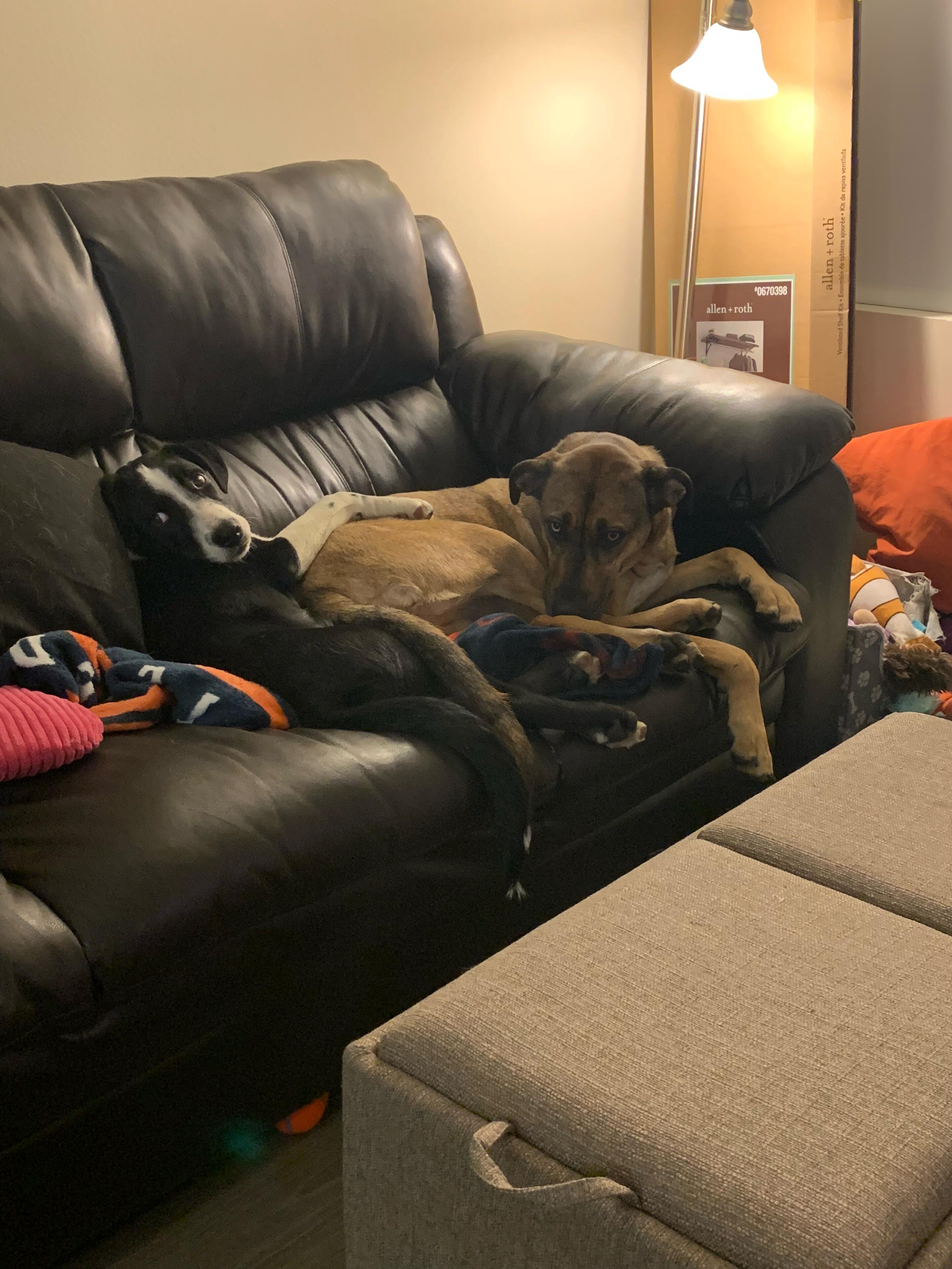 Picture of Moving In Together