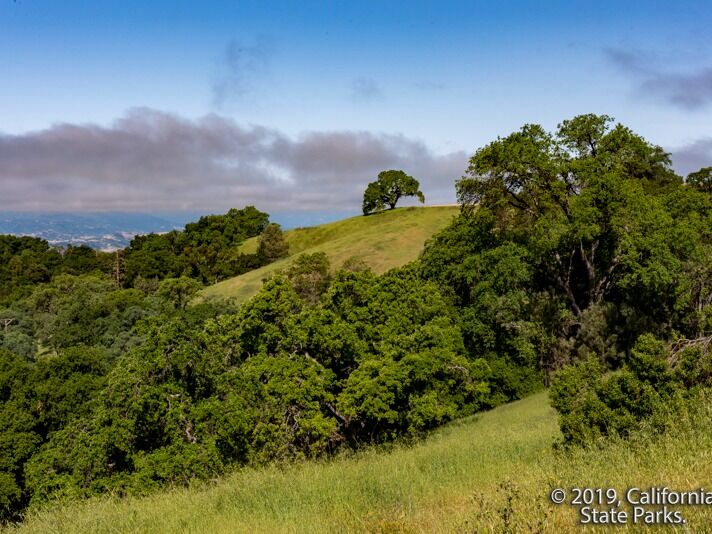 Picture of Henry W. Coe State Park